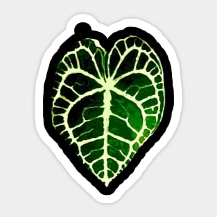 Urban Soule Anthurium Leaf Logo Sticker